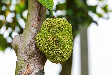 《奇异贤伴：爱达之歌》第一赛季将于本周开启